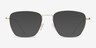 Future Golden TitaniumEyeglass Frames from EyeBuyDirect, with Tinted Lenses