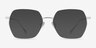 Holistic Silver TitaniumEyeglass Frames from EyeBuyDirect, with Tinted Lenses