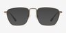 Astronomy Matte Gold TitaniumEyeglass Frames from EyeBuyDirect, with Tinted Lenses
