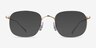 Linus Gold TitaniumEyeglass Frames from EyeBuyDirect, with Tinted Lenses