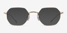 Virgil Gold TitaniumEyeglass Frames from EyeBuyDirect, with Tinted Lenses