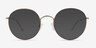 Gavi Shiny Gold TitaniumEyeglass Frames from EyeBuyDirect, with Tinted Lenses