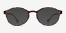 Darcy Tortoise PlasticEyeglass Frames from EyeBuyDirect, with Tinted Lenses