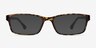 La Paz Tortoise PlasticEyeglass Frames from EyeBuyDirect, with Tinted Lenses