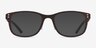 Earth Wood Eco-friendlyEyeglass Frames from EyeBuyDirect, with Tinted Lenses