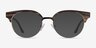 Wilderness Gold Black AcetateEyeglass Frames from EyeBuyDirect, with Tinted Lenses