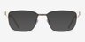 Silva Matte Silver Wood-textureEyeglass Frames from EyeBuyDirect, with Tinted Lenses