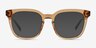 Coniferous Brown AcetateEyeglass Frames from EyeBuyDirect, with Tinted Lenses