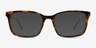 Branch Tortoise AcetateEyeglass Frames from EyeBuyDirect, with Tinted Lenses