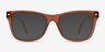 Nature Brown AcetateEyeglass Frames from EyeBuyDirect, with Tinted Lenses