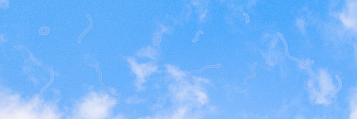 A blue sky showing an example of eye floaters