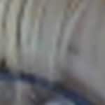 Cindy J. - Navy - horn - acetate