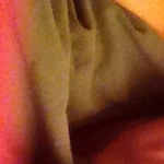 Pauline O. - Matte Black - rectangle - plastic