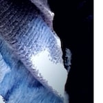 Belinda B. - Navy - horn - acetate