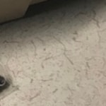 Leilani H. - Faded Rose - round - plastic