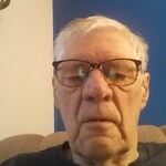 wilf P. - Gray Brown - rectangle - acetate