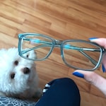 Isidora G. - Clear Blue - rectangle - acetate