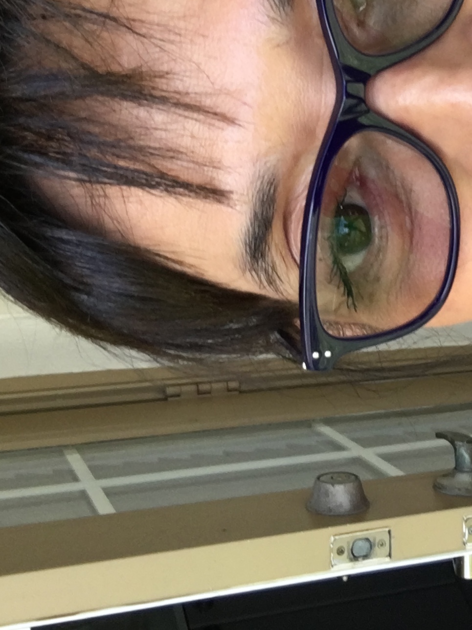 Prodigy - Versatile Flattering Feminine Frames | Eyebuydirect