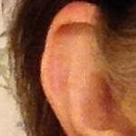 Lenese M. - Tortoise - square - acetate-metal