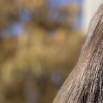 Jose L V. - Matte Black - round - plastic-metal