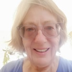 Sylvie L. - Gray Clear - round - acetate