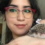 Shannon P. - Red - browline - acetate-metal