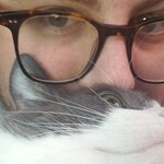 justinguillory7 - Amber Tortoise - square - acetate