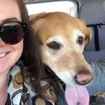 Lauren M. -  Tortoise  - horn - acetate