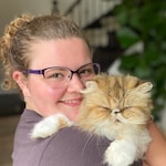 kristen.bowering06 - Purple - horn - acetate-metal