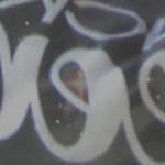 Anjelic W. - Floral - horn - plastic