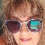 lisa M. - Frosted Blue - horn - acetate-metal