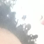 Jennifer T. - Mellow Yellow - square - acetate