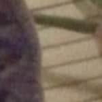 Kīm B. Ły - Clear - round - acetate