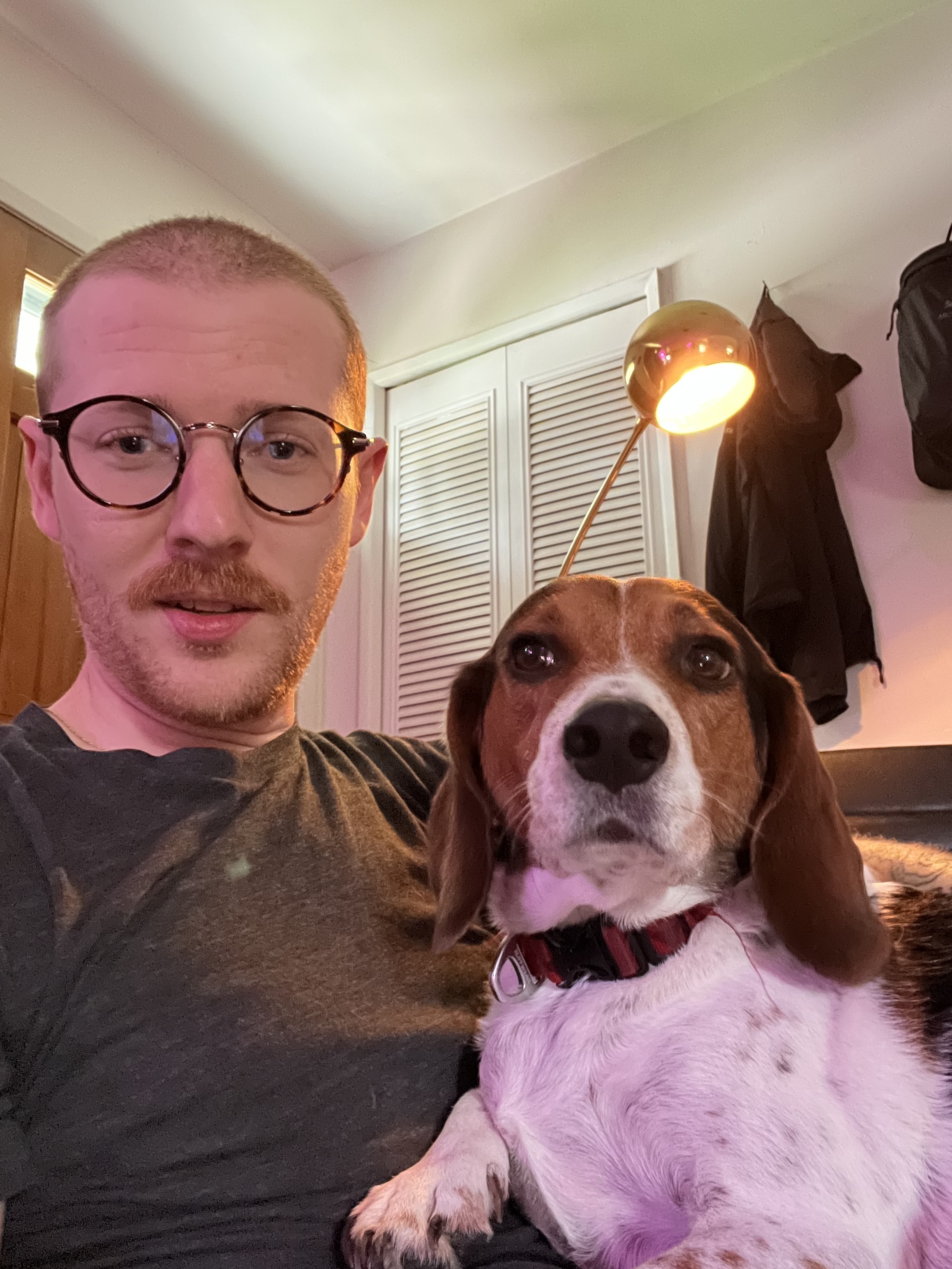 Roto Round Tortoise Glasses for Women Eyebuydirect Canada