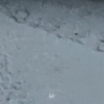 Marla B. - Gray Striped - rectangle - acetate-metal