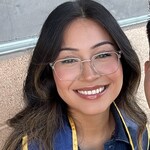 Celina V. - Clear Gray & Silver - rectangle - acetate-metal