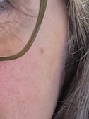 Darla A. - Clear Green - square - acetate